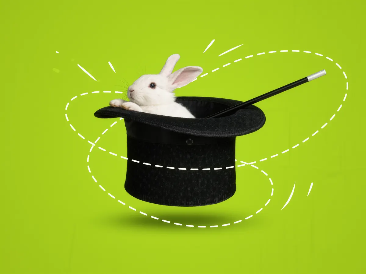 A magician's top hat with a white rabbit peeking out on a lime green background.