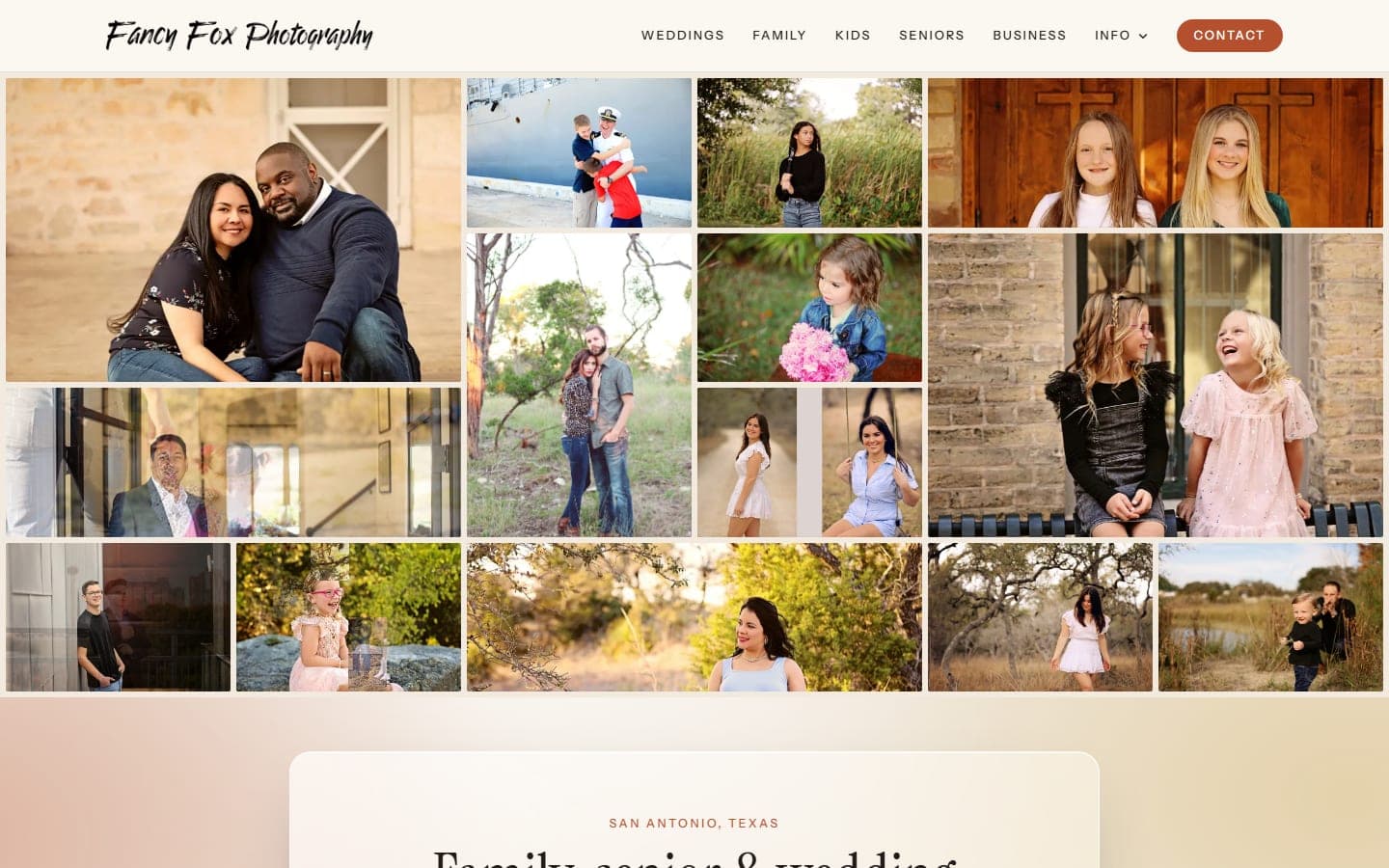Fancy Fox Photography website