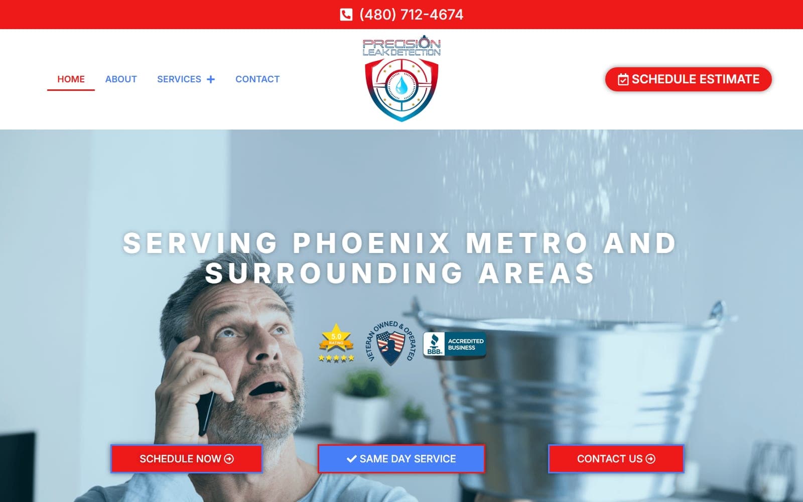 Precision Leak Detection website