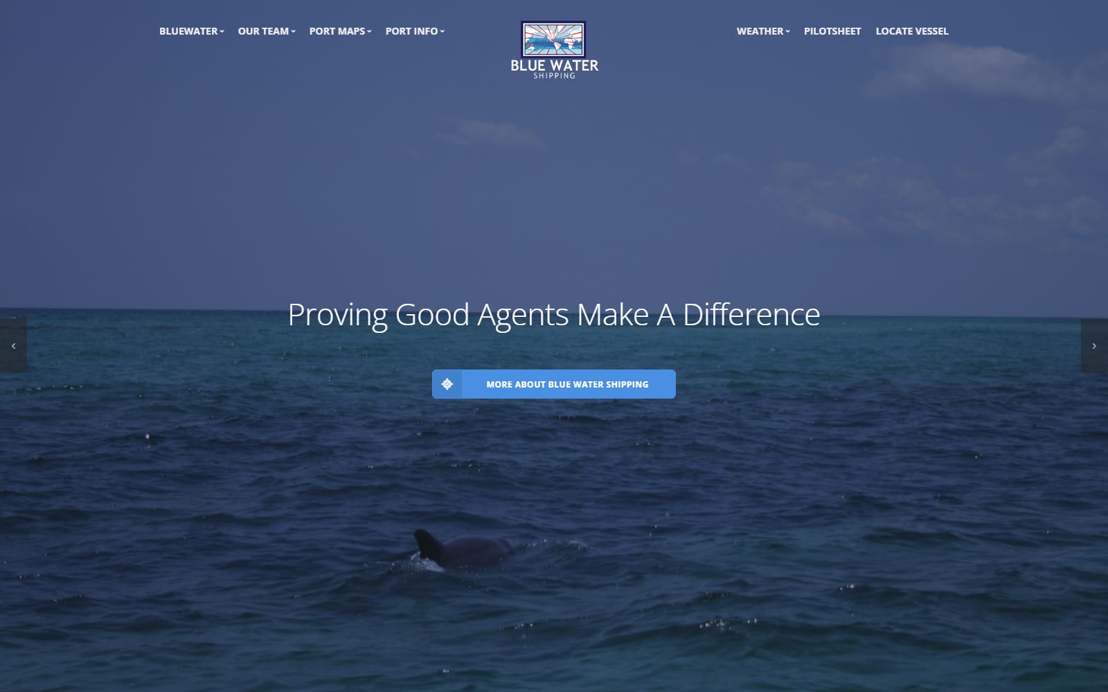 Blue Water Shipping — New Orleans, LA · Gulf Coast