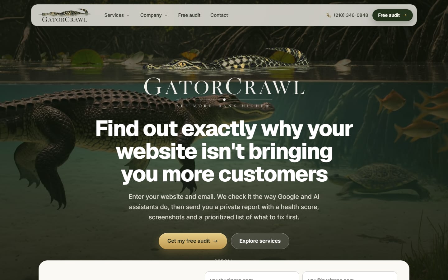 GatorCrawl SEO: Website & AI Search Audit — San Antonio, TX · Nationwide